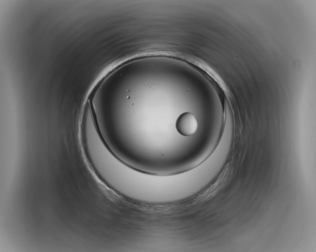 X0000115521101200911131440