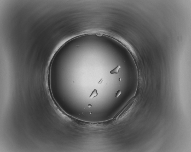 X0000115521102200911131440