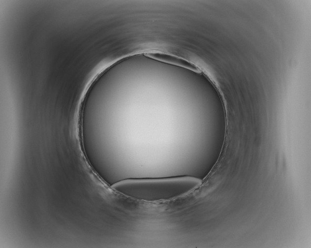 X0000115521104200911131440