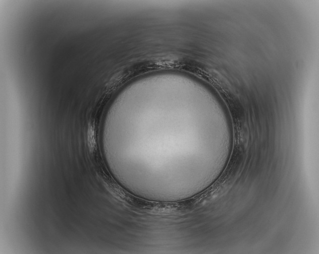 X0000115521106200911131439