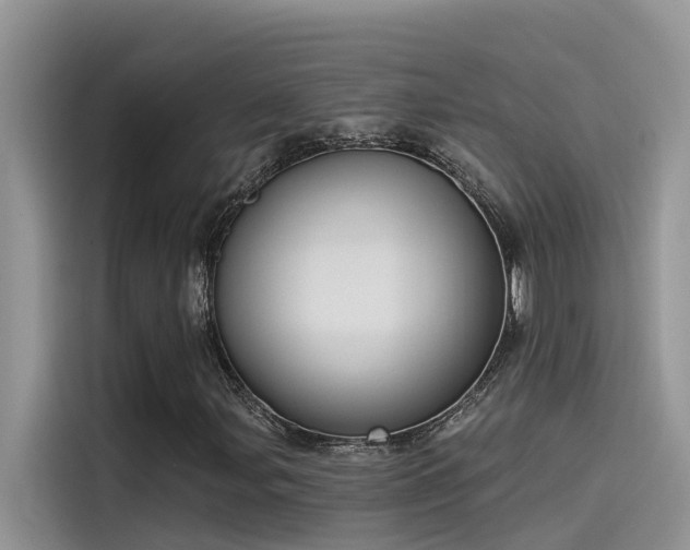 X0000115521107200911131439