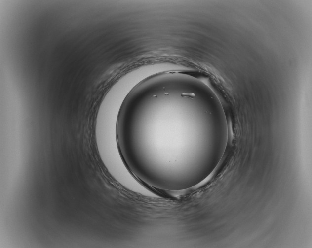 X0000115521110200911131439