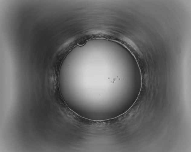 X0000115521111200911131439