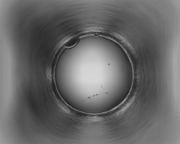 X0000115521113200911131440