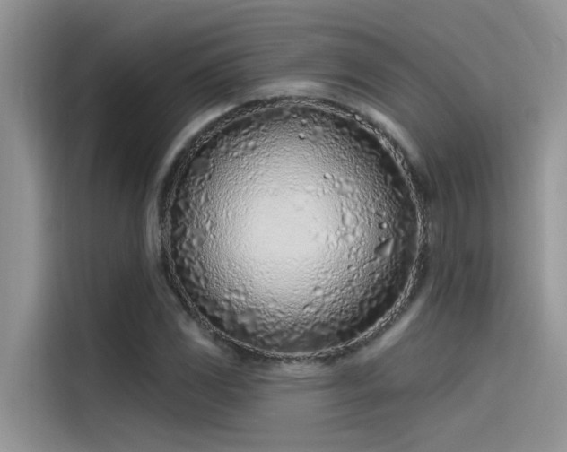 X0000115521117200911131440