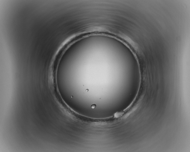 X0000115521118200911131440