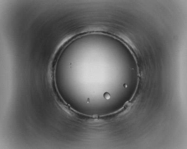 X0000115521119200911131440