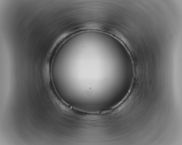 X0000115521123200911131440