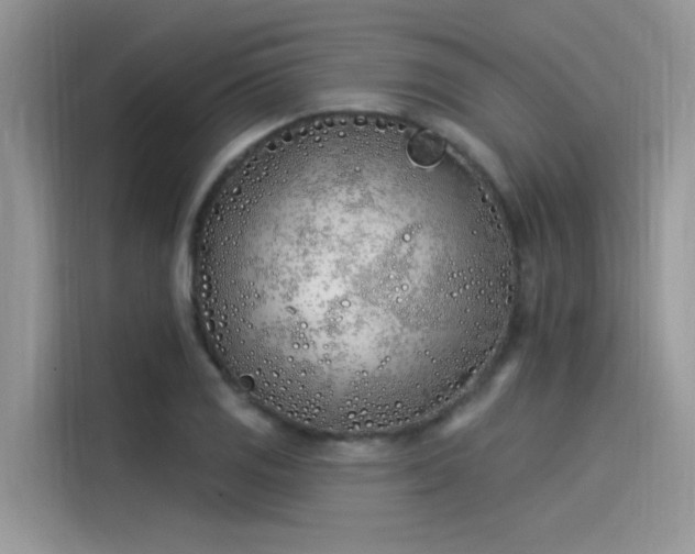 X0000115521125200911131440