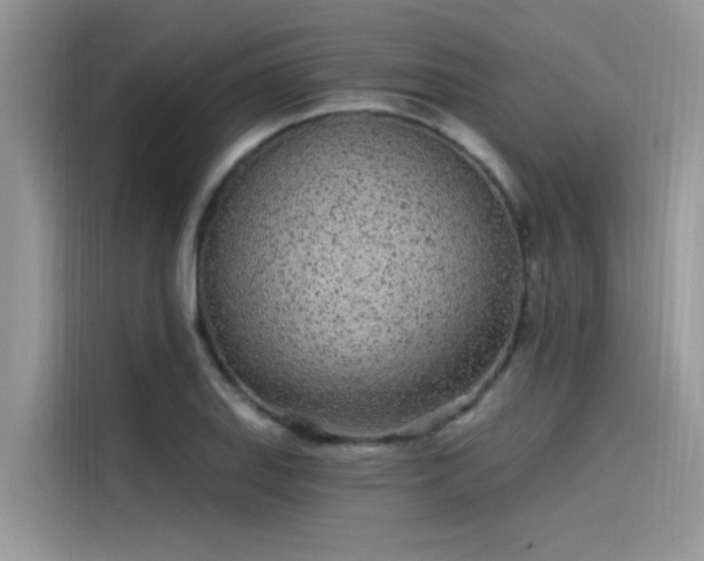 X0000115521127200911131440