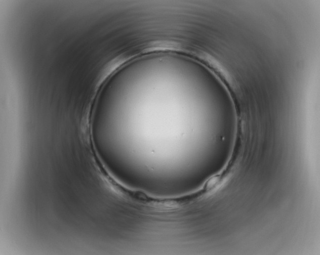 X0000115521129200911131440