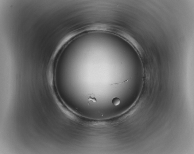 X0000115521131200911131440