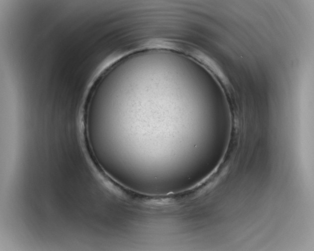 X0000115521133200911131440