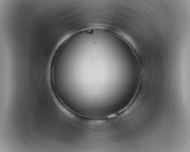 X0000115521135200911131440