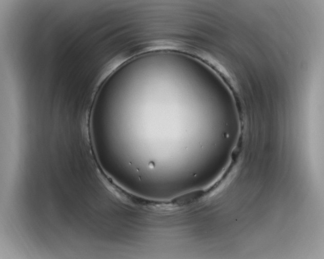 X0000115521137200911131440