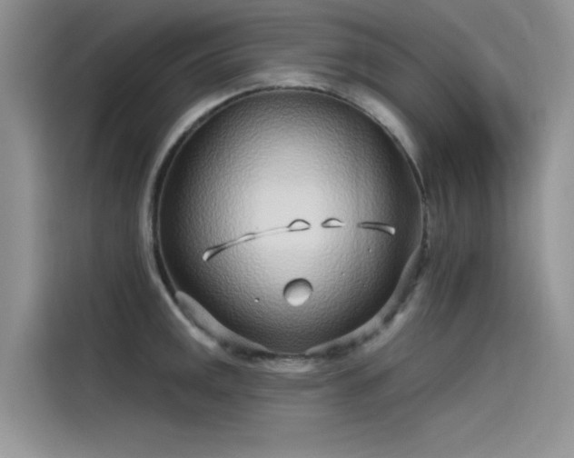 X0000115521141200911131440