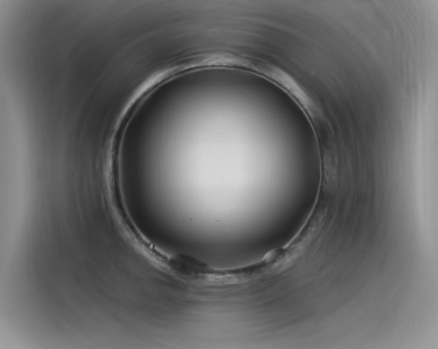 X0000115521142200911131440