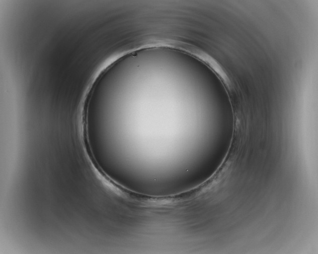 X0000115521143200911131440