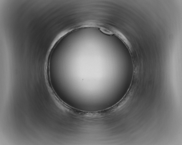 X0000115521146200911131440