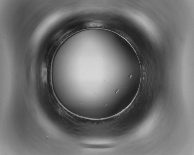 X0000115521151200911131440