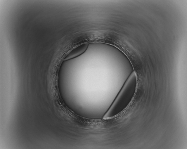 X0000115521153200911131439