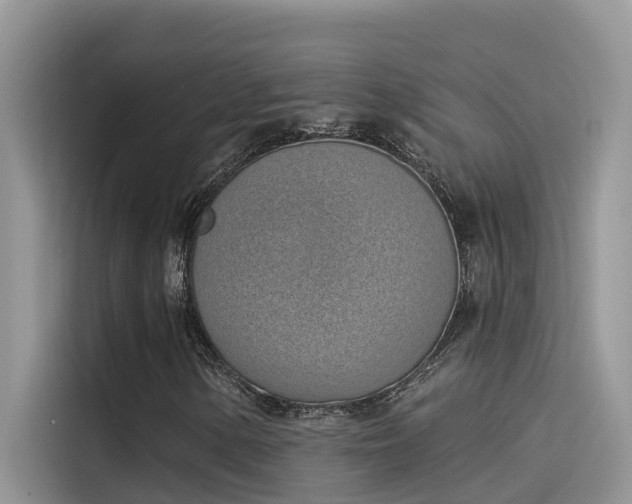 X0000115521154200911131439