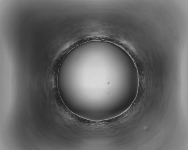 X0000115521159200911131439