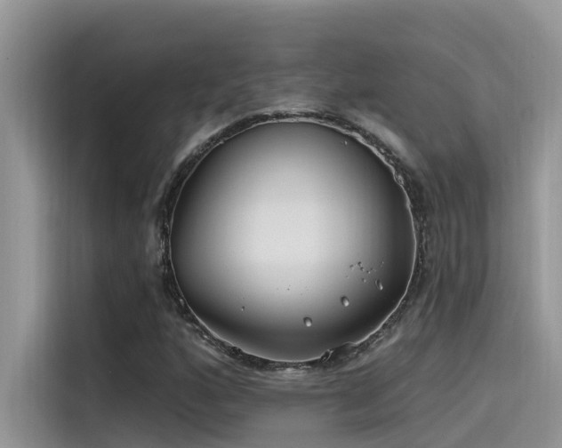 X0000115521160200911131439