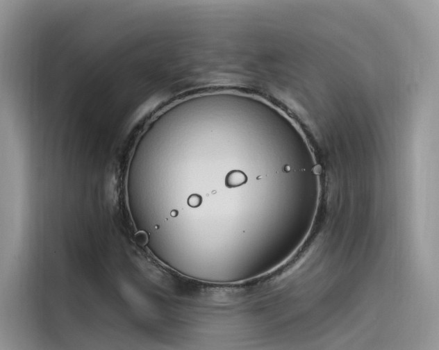 X0000115521163200911131439