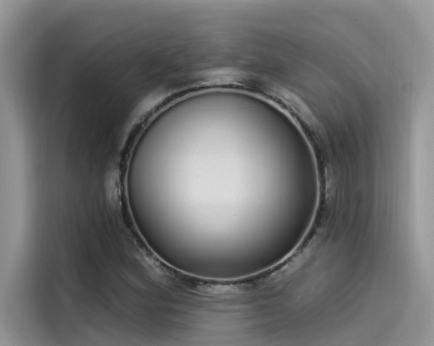 X0000115521164200911131439