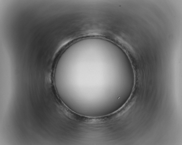 X0000115521166200911131439