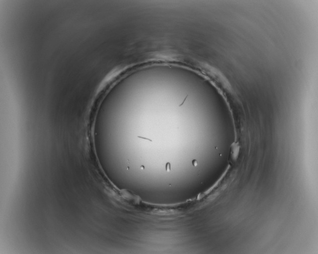 X0000115521168200911131439