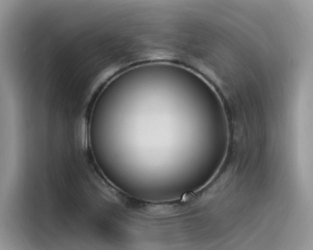 X0000115521171200911131439