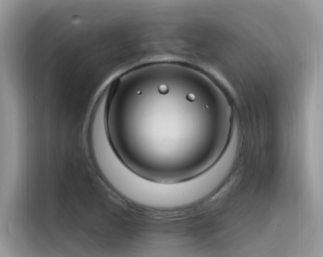 X0000115521173200911131439