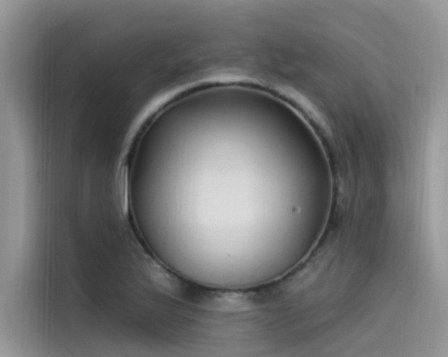 X0000115521175200911131439