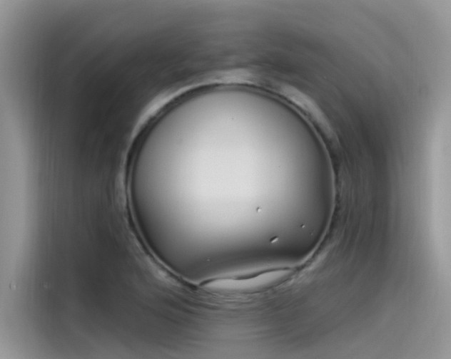 X0000115521176200911131439