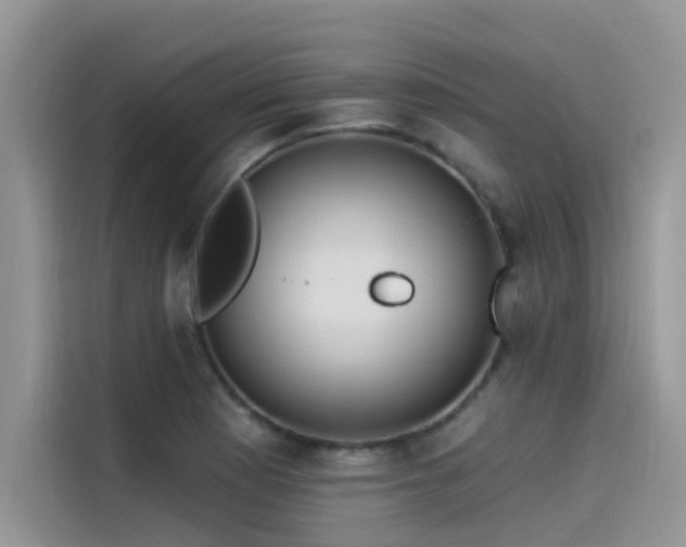 X0000115521177200911131439