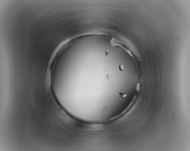 X0000115521180200911131439