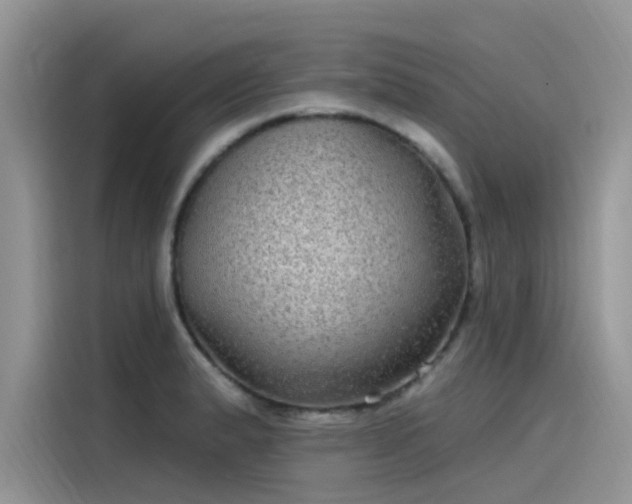 X0000115521183200911131439