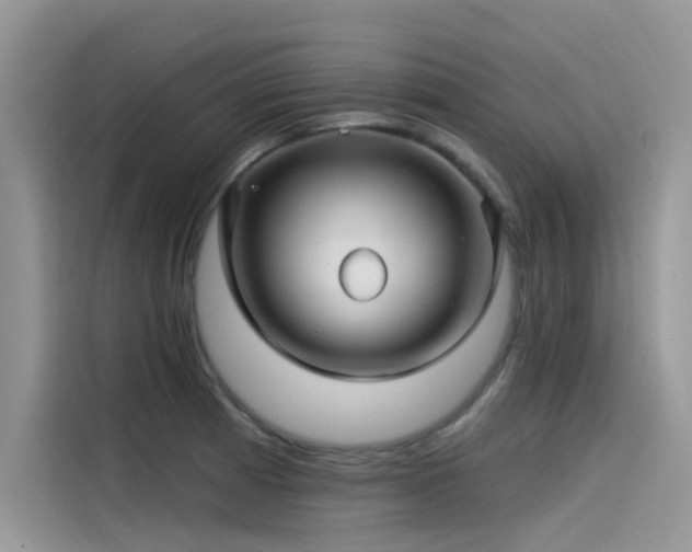 X0000115521185200911131439