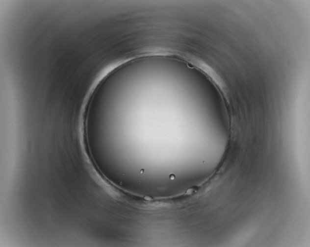 X0000115521187200911131439