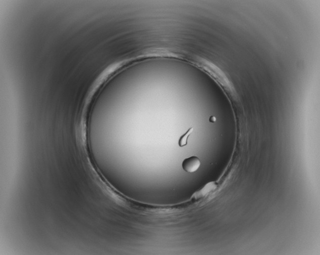 X0000115521188200911131439