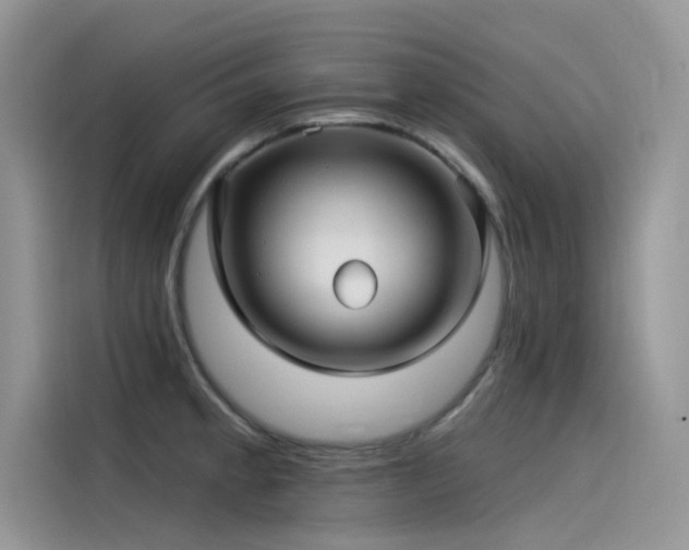 X0000115521189200911131439