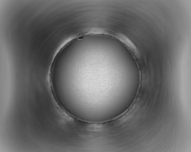 X0000115521190200911131439