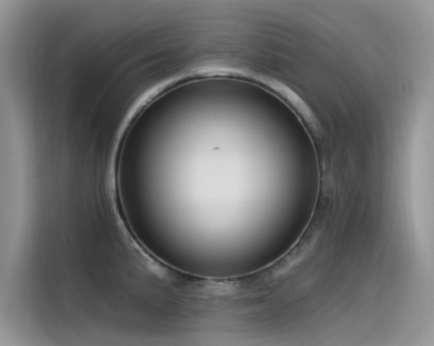 X0000115521191200911131439