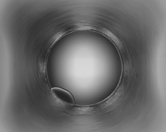 X0000115521193200911131439