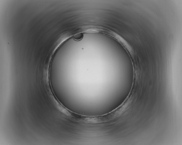 X0000115521194200911131439