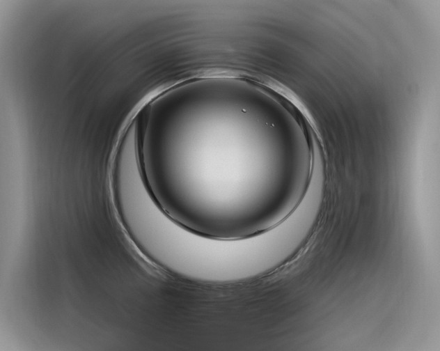 X0000115521195200911131439