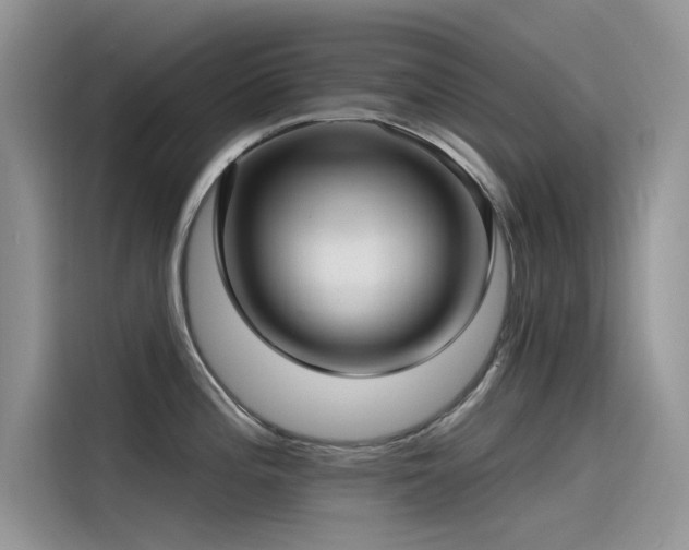 X0000115521196200911131439