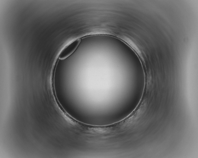 X0000115521197200911131439